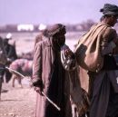 Afghani Farmers, Camel Market, Kabul